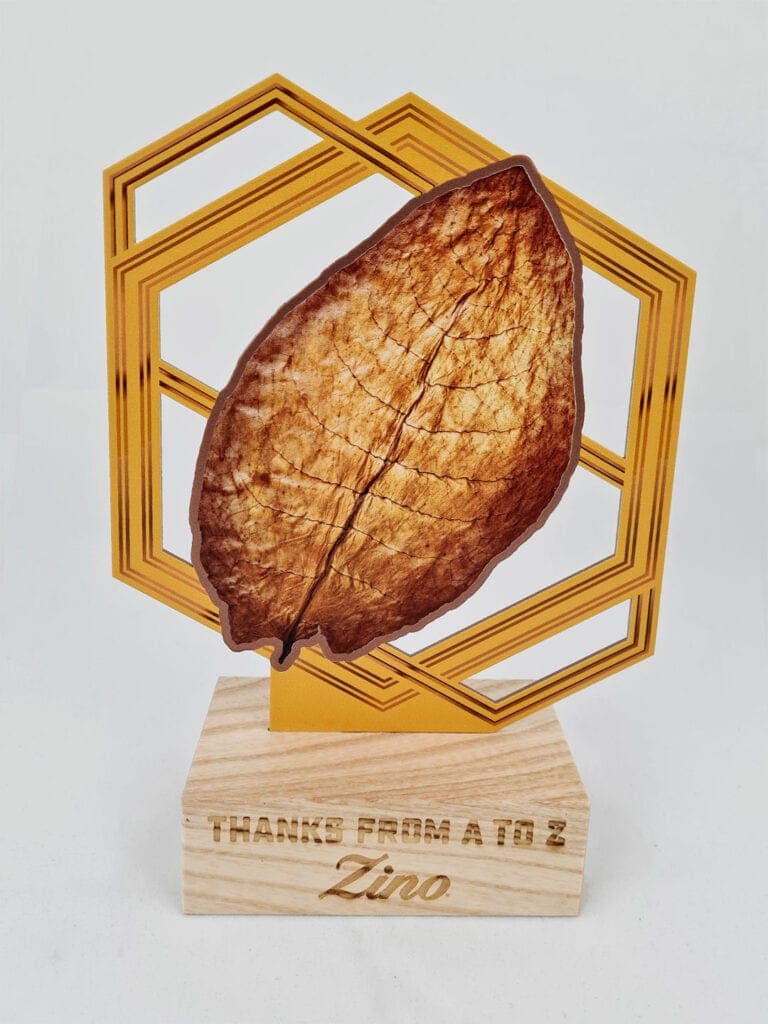Topmueller Awards Zino